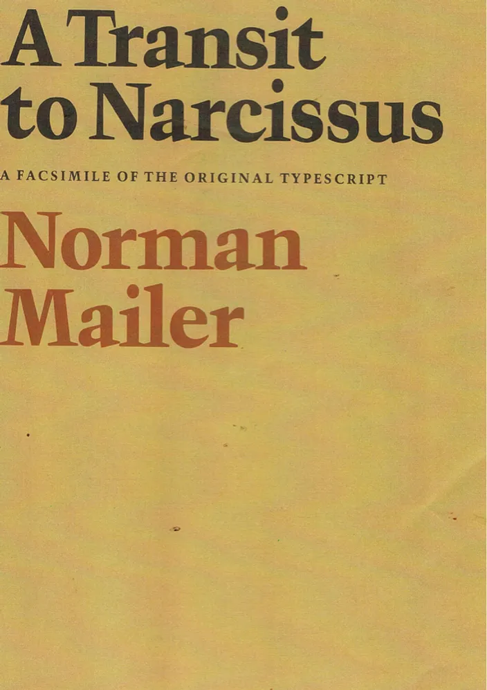 A Transit to Narcissus (Howard Fertig, 1978)